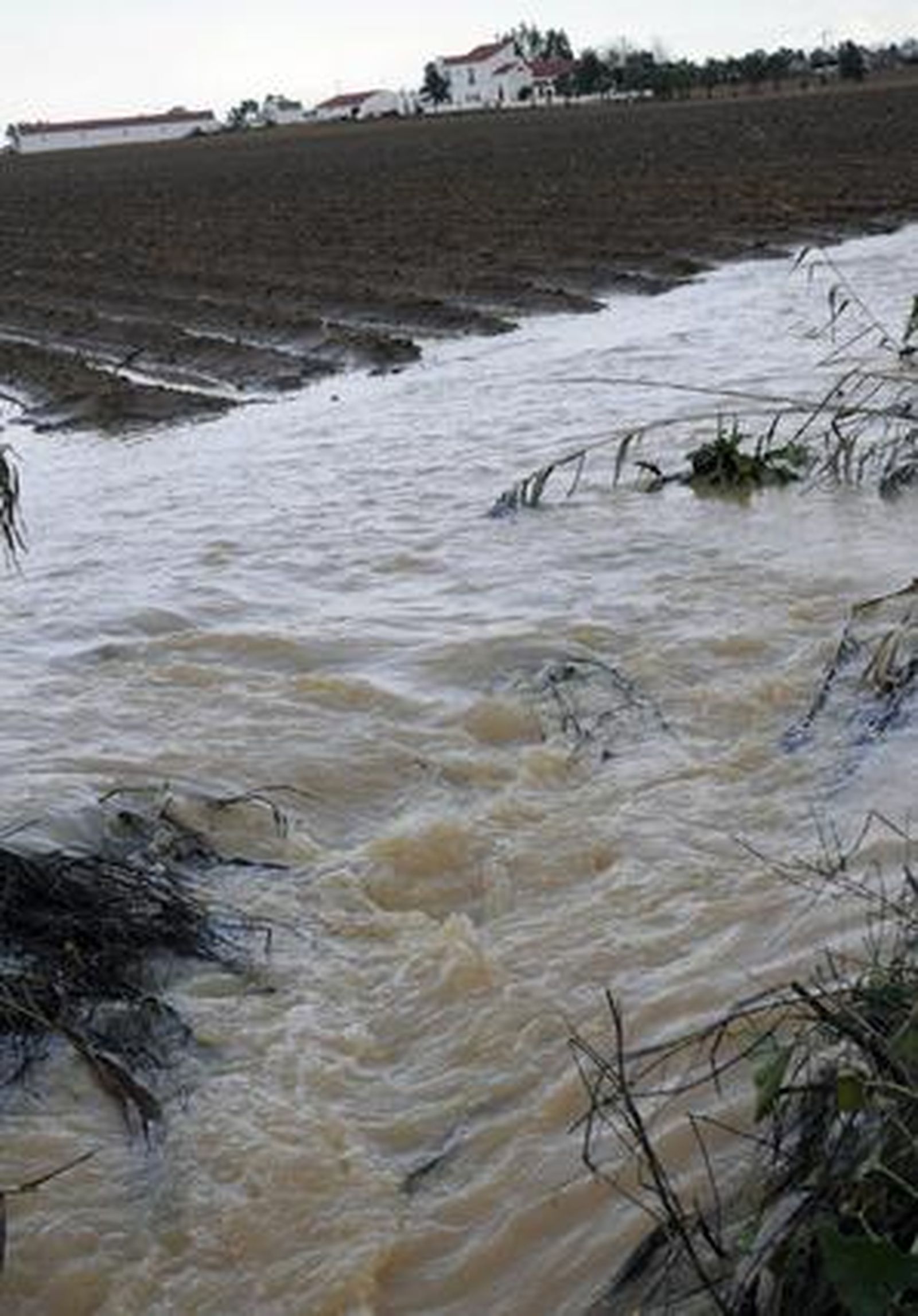 Las fuertes precipitaciones han ocasionado el desbordamiento de un riachuelo en Valdezorras afectando a los cultivos.

Foto: J. C. Vázquez, B. Vargas y A. Pizarro