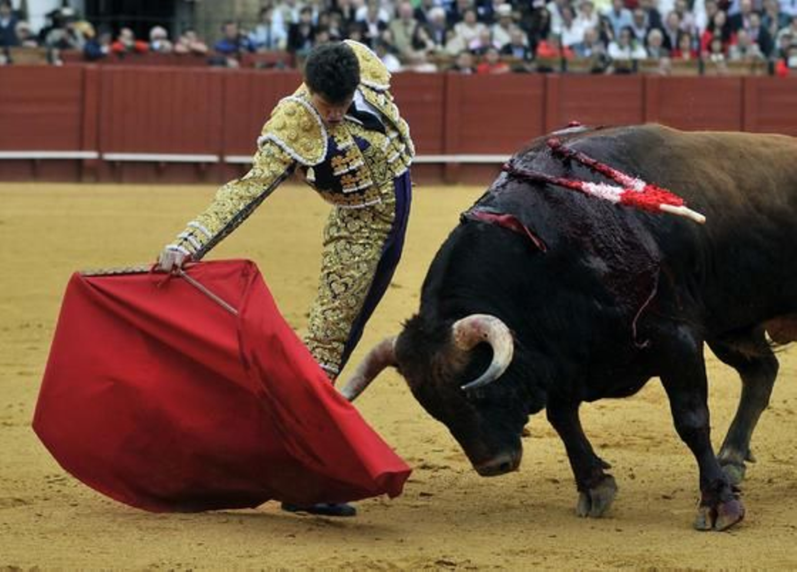 El tercero fue para Daniel Luque.

Foto: Juan Carlos Muñoz