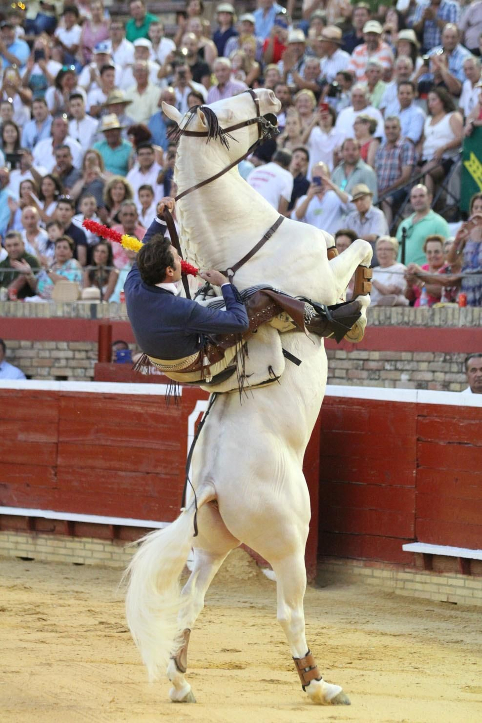 Festejo de Rejones en el coso de La Merced por Colombinas.