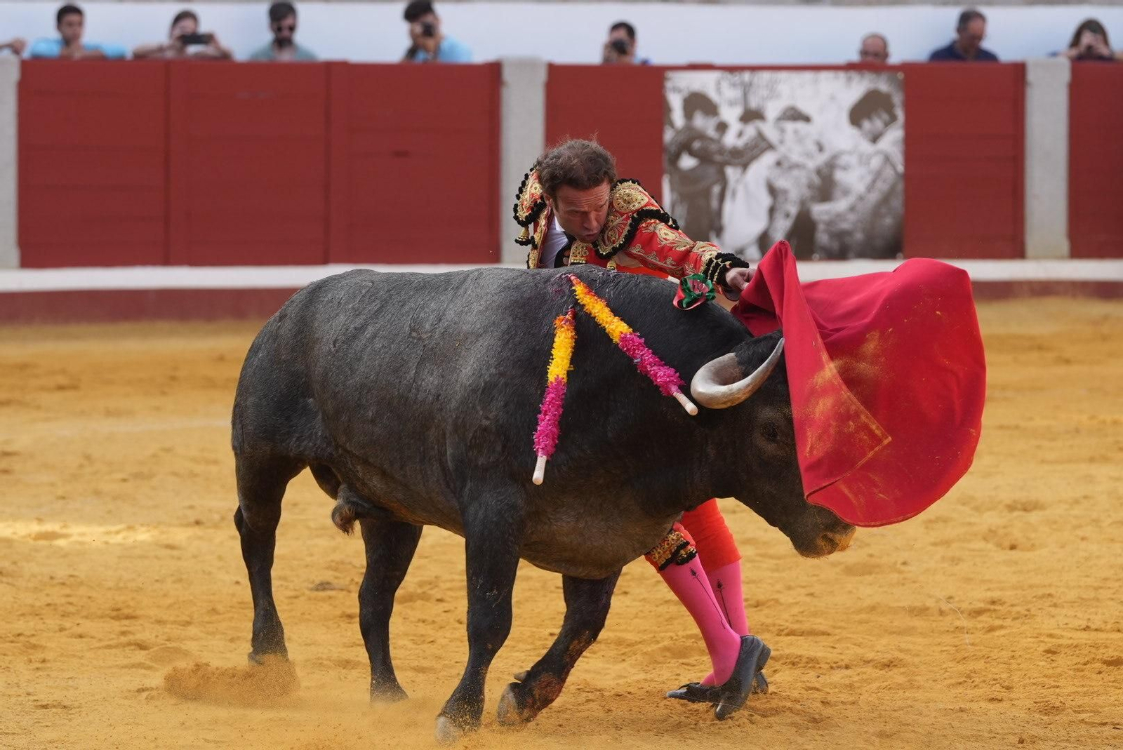 La corrida de toros de Ferrera, Escribano y Lamelas en Pozoblanco, en imágenes
