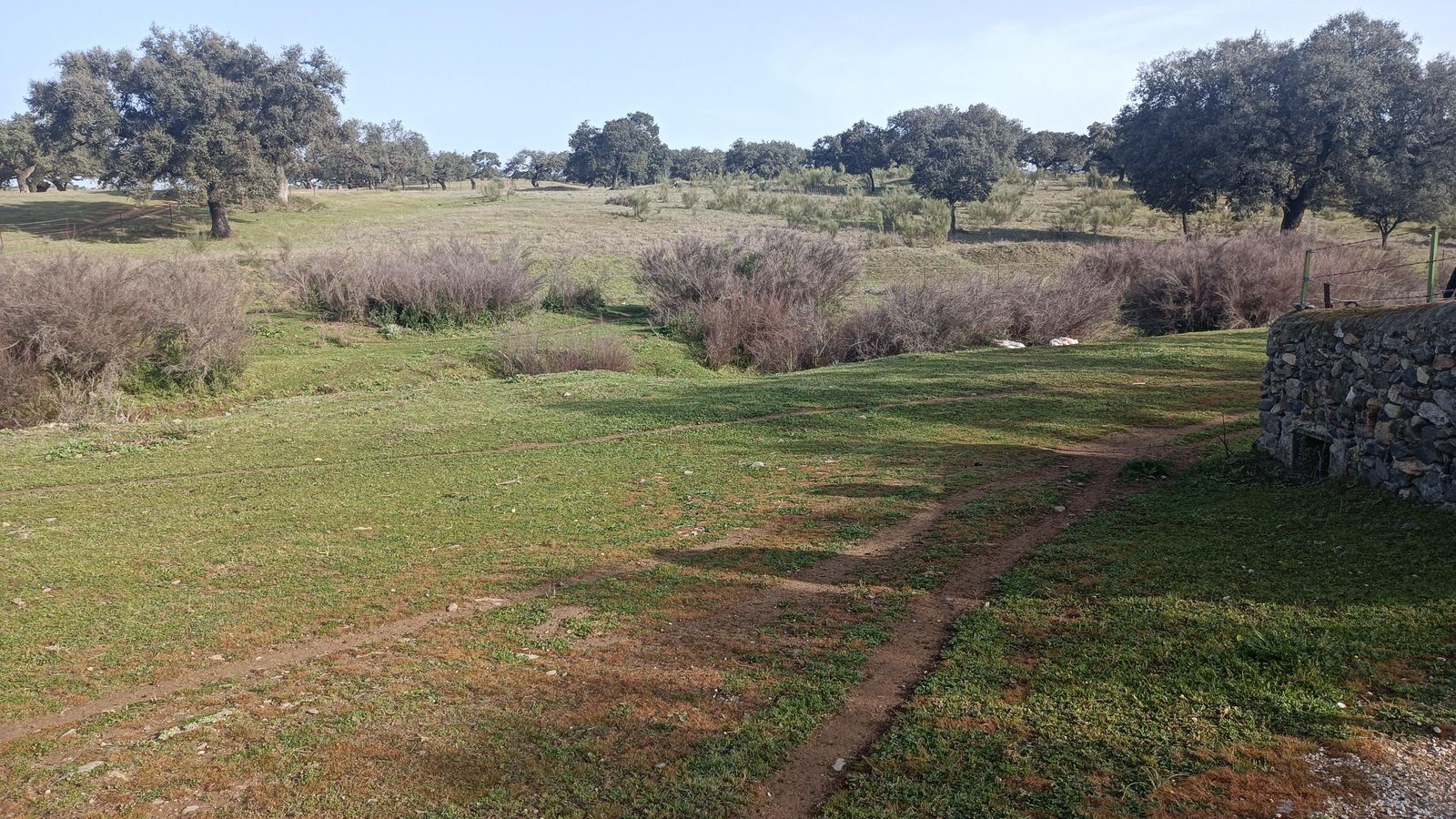 Punto de encuentro con el Arroyo de la Víbora.