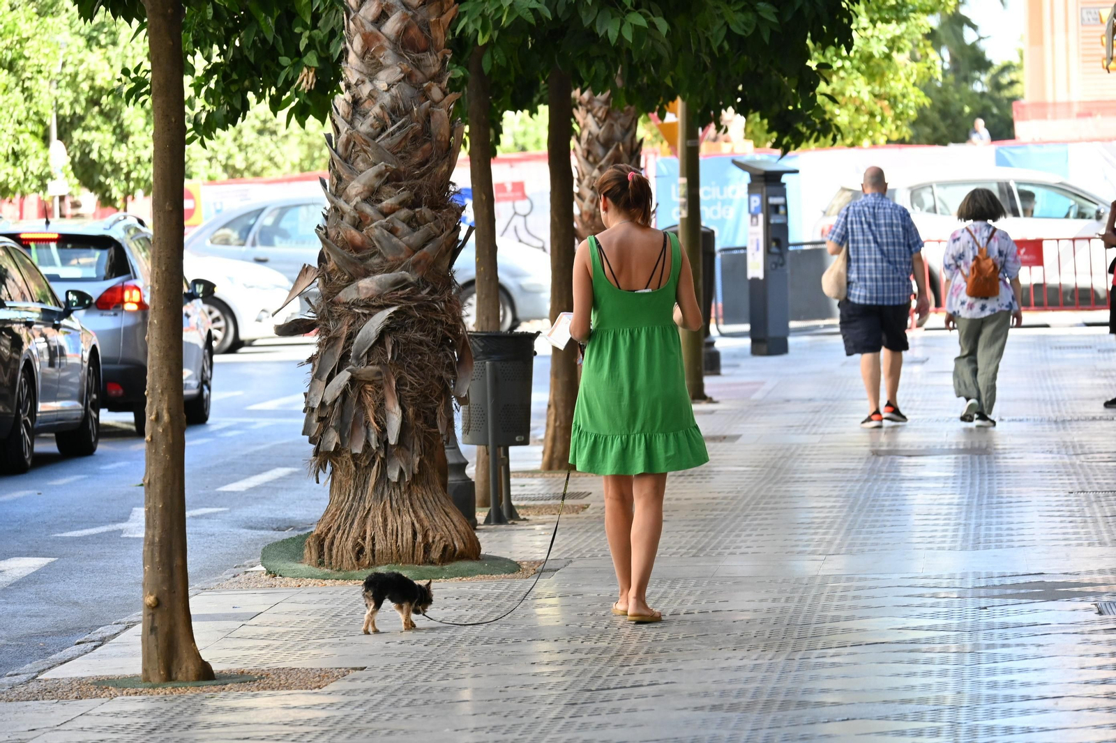 Imágenes del lunes 31 de julio, en Huelva