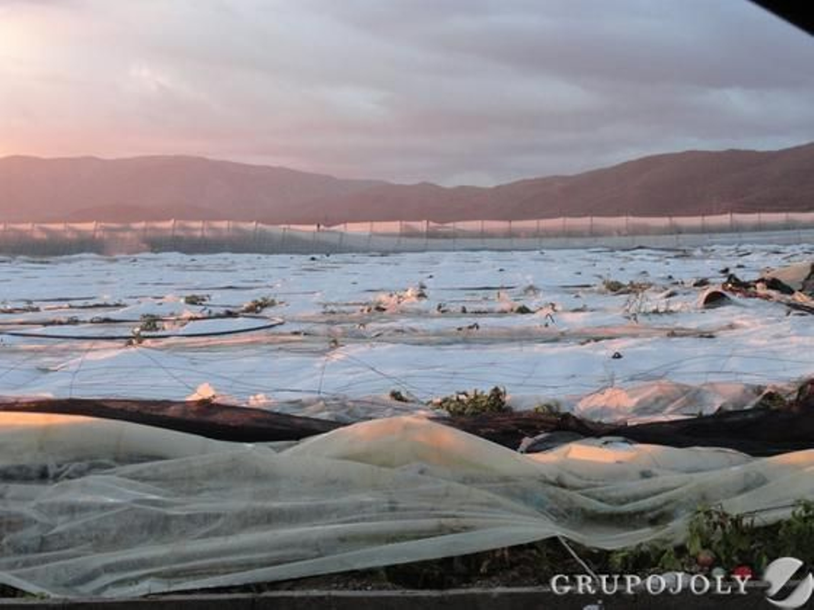 Foto: Diario de Almería