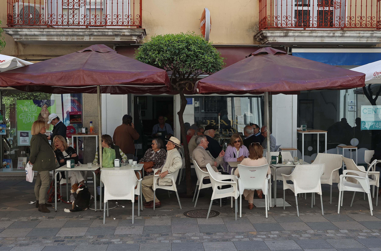El Bar Coruña de Algeciras, en imágenes