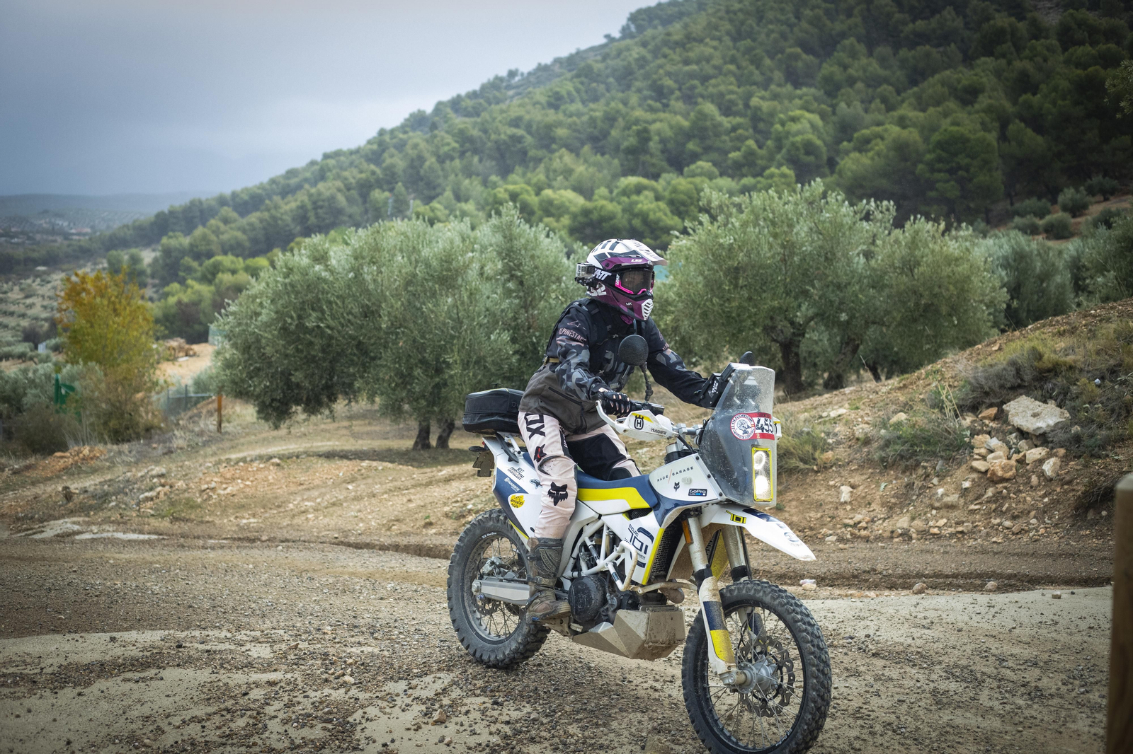 ¿Estuviste en la tercera edición de la ruta Olivobook? Búscate