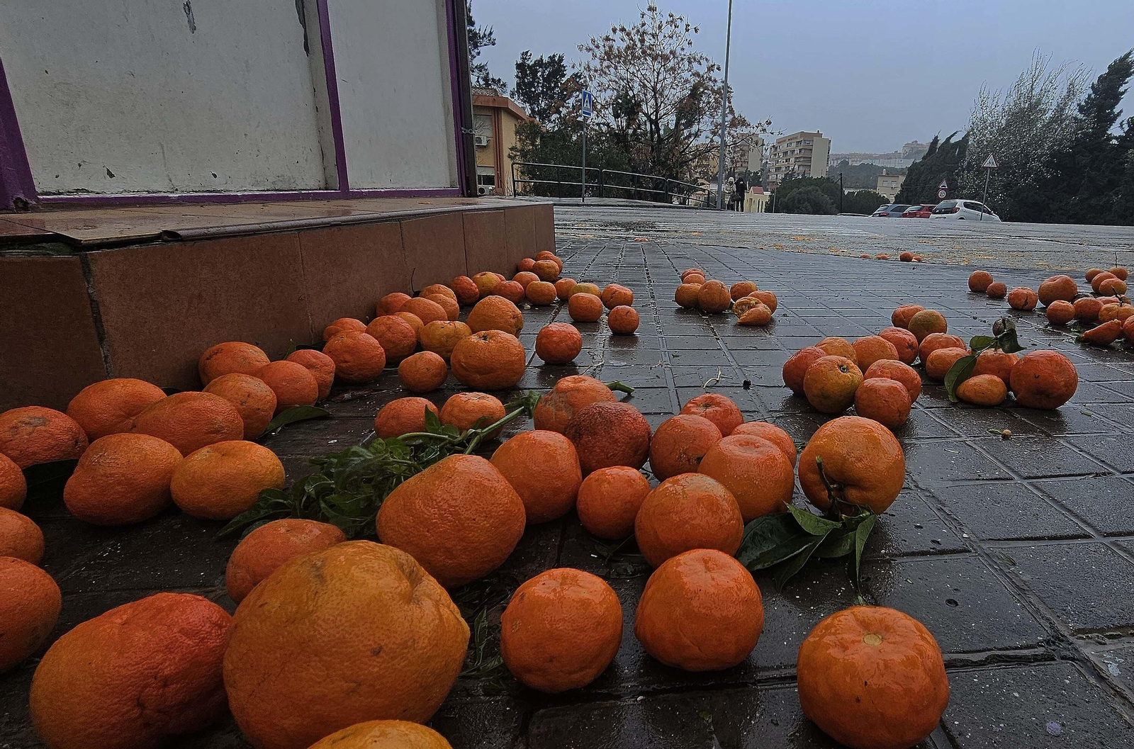 Fotos de los daños del temporal Karlotta en Algeciras