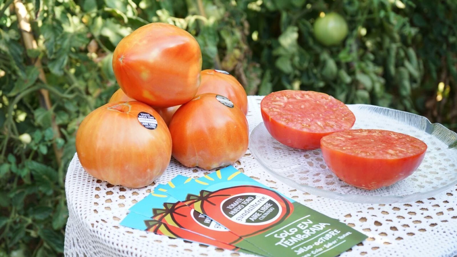 El tomate Huevo de Toro.