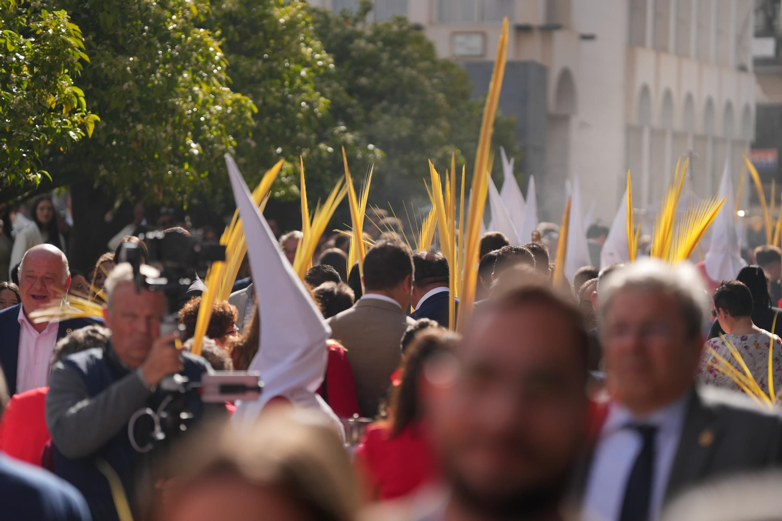 El Domingo de Ramos en Lucena