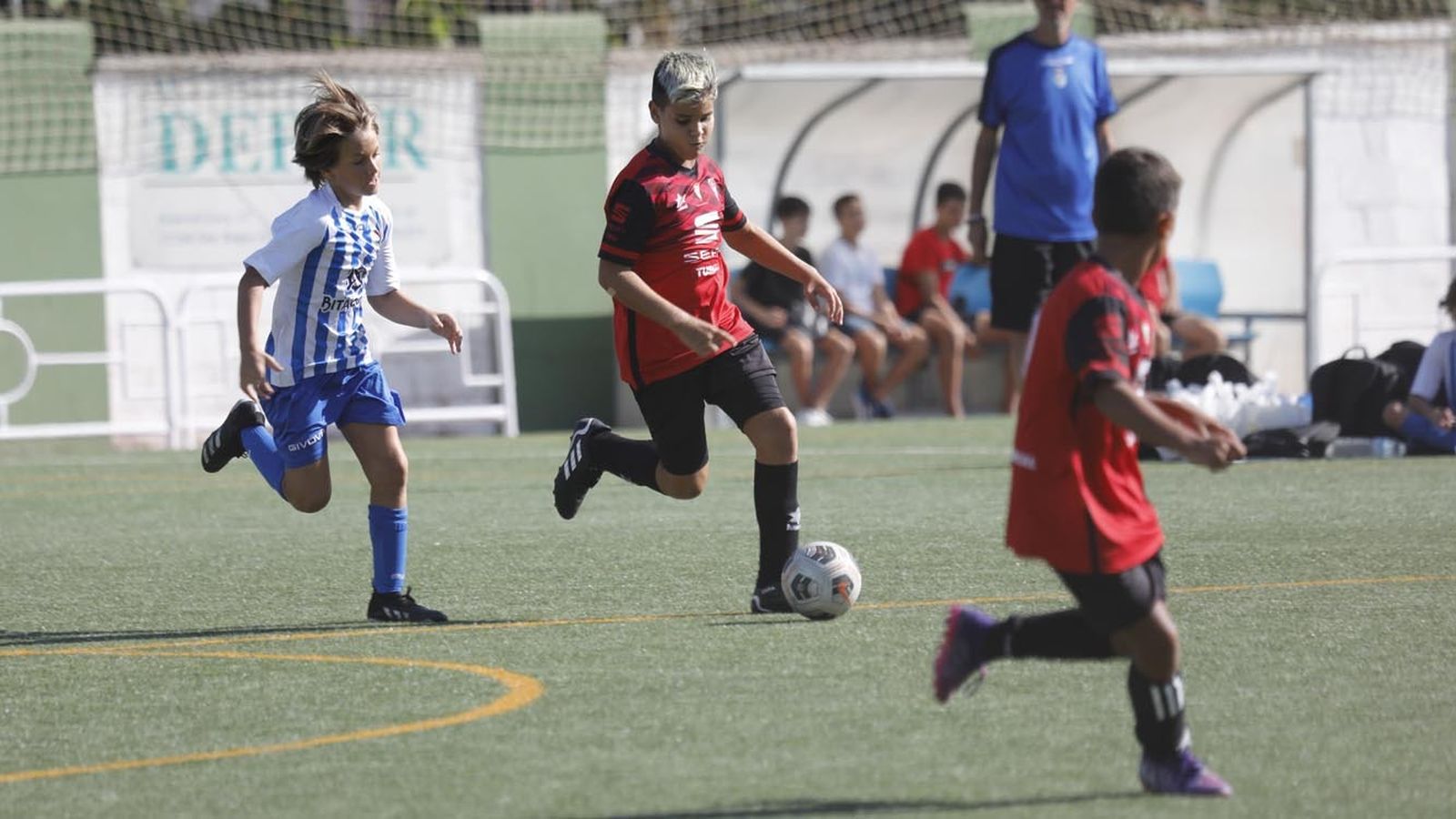Las fotos del Torneo de alevines en el campo de Los Olivíllos en San Roque