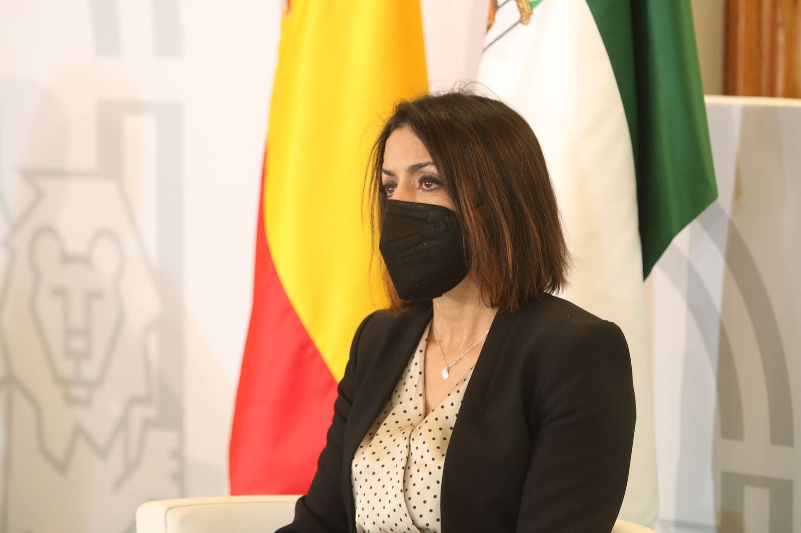 Fotogalería de la entrega de banderas por el Día de Andalucía