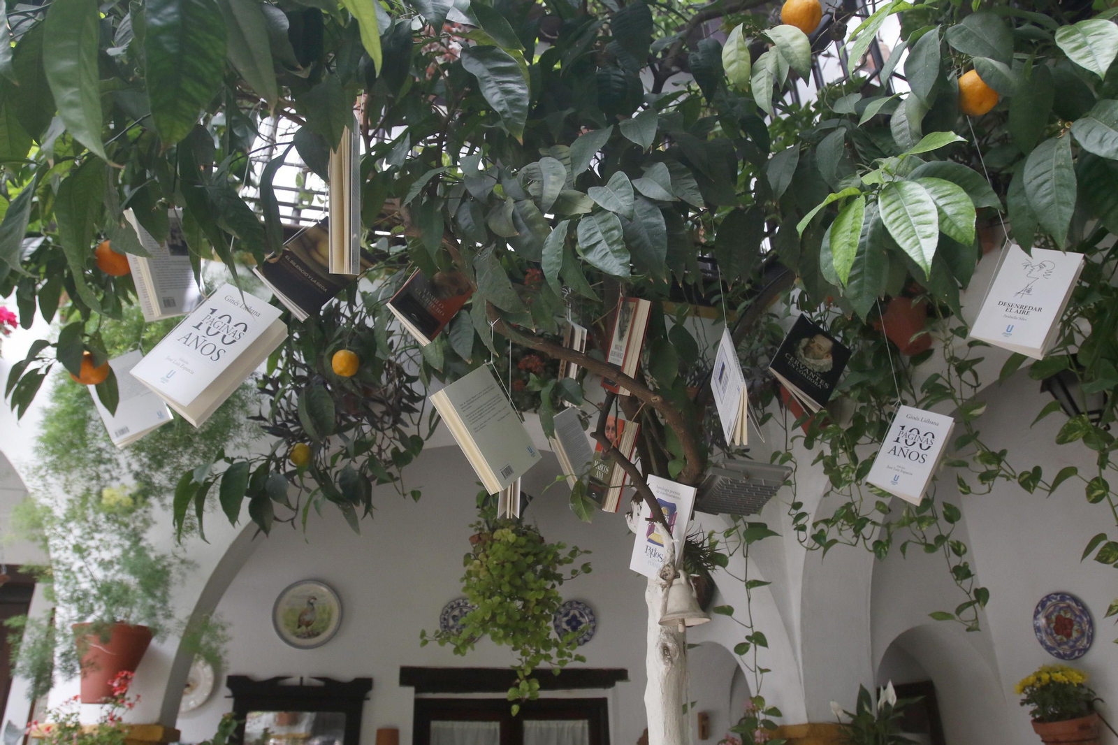 Ruta Santa Marina - San Agustín de los Patios de Córdoba, en imágenes