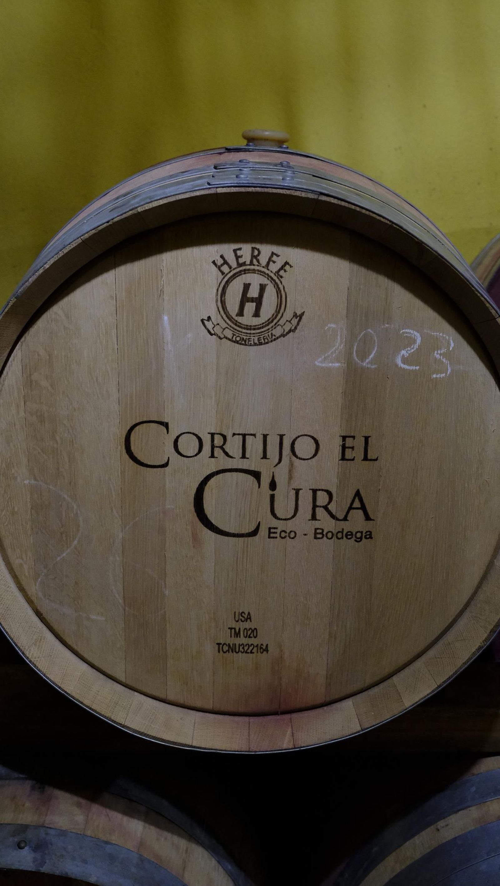 La vendimia en la Bodega Cortijo del Cura de Laujar, en imágenes