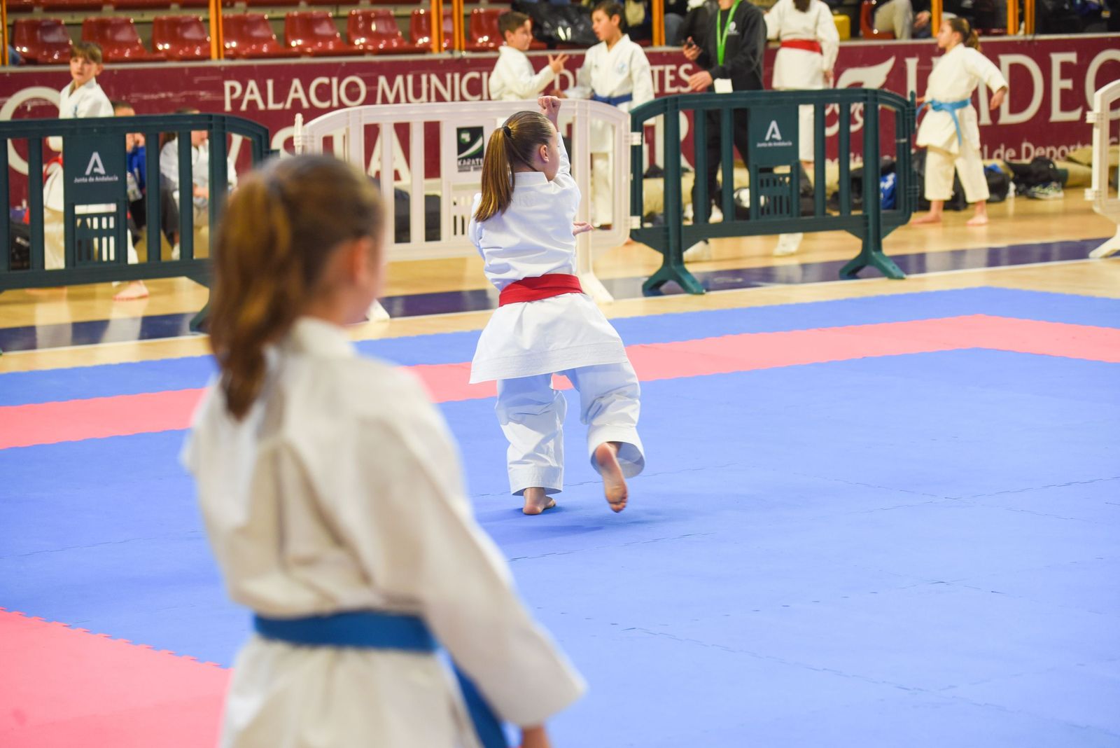 Las fotos del vibrante Campeonato de Andalucía de kárate infantil de Córdoba