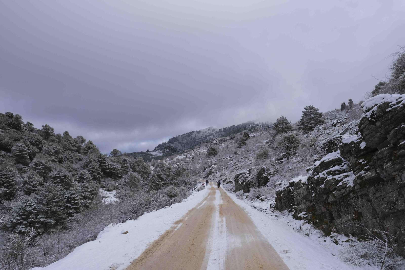 Nevada en la Serranía de Ronda, en fotos.