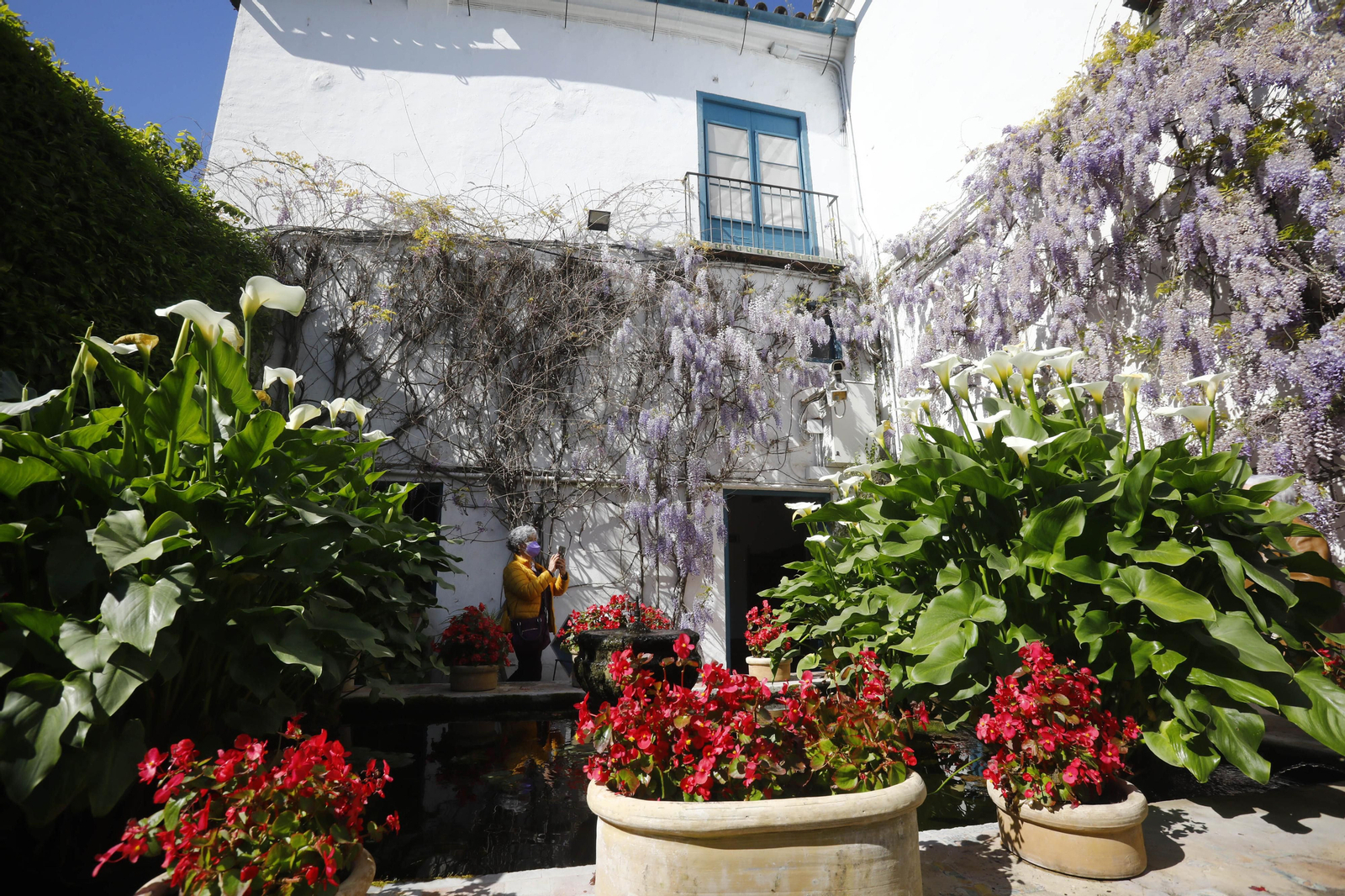 Patio de los Naranjos