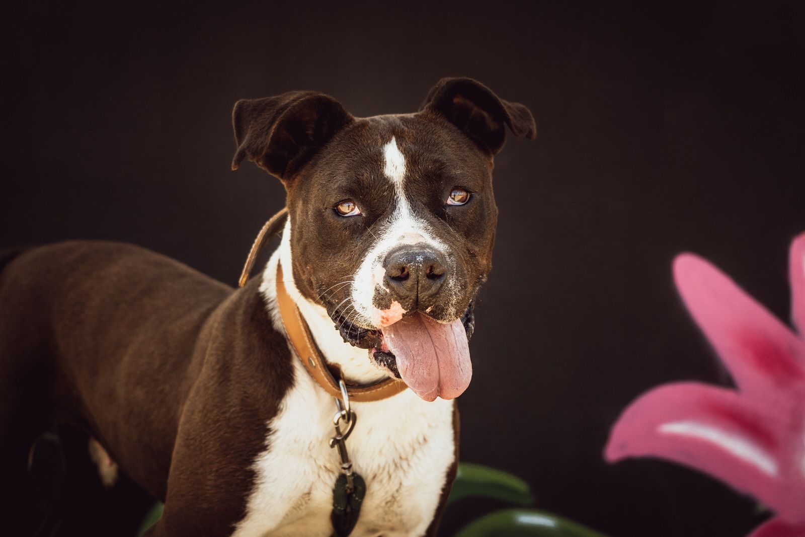 Luna necesita una segunda oportunidad