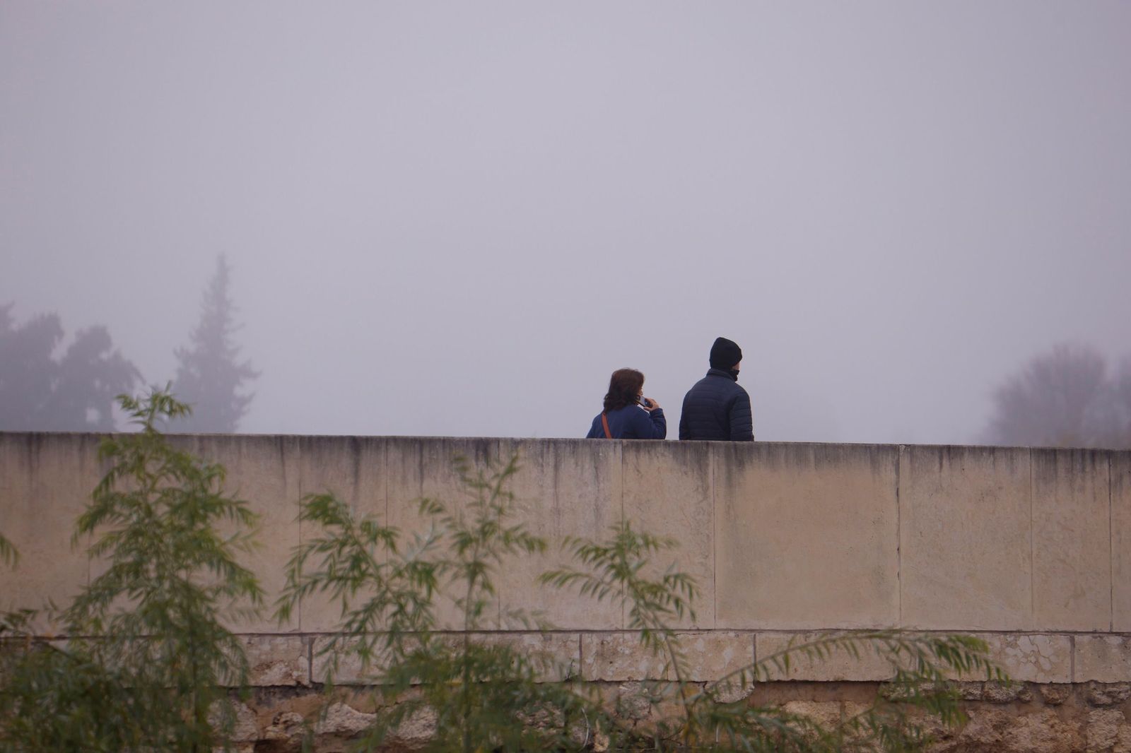 Córdoba amanece bajo la niebla el último día de 2025, en fotos