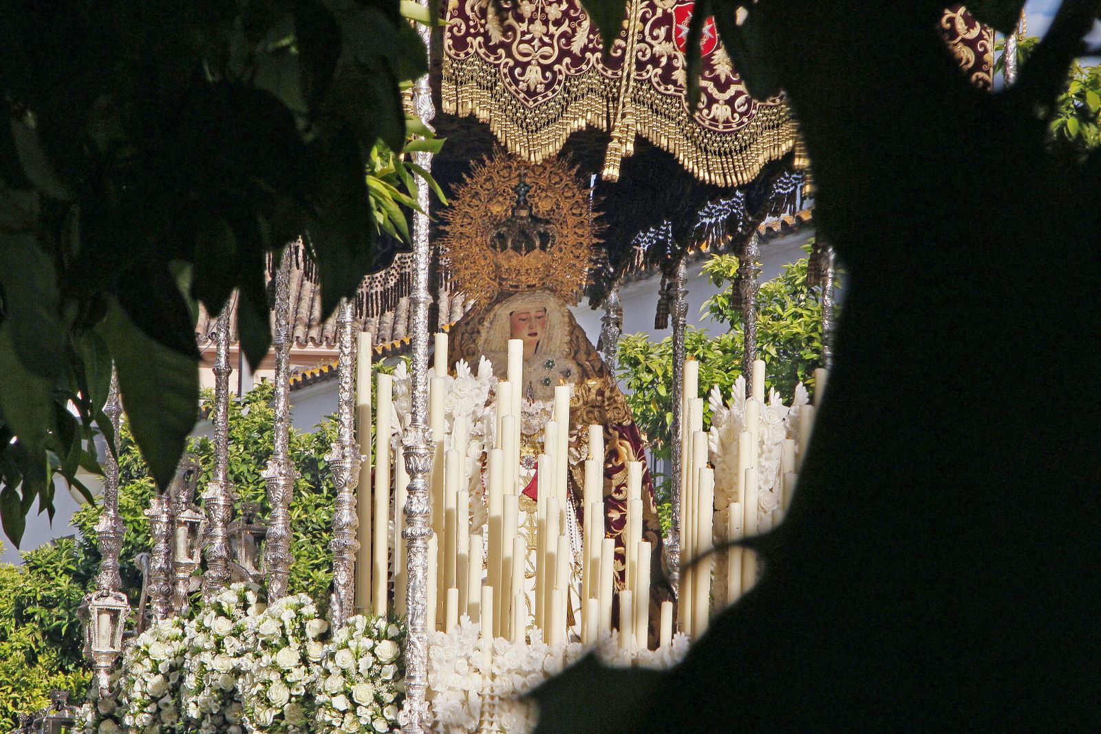 Las imágenes del Domingo de Ramos de Jerez