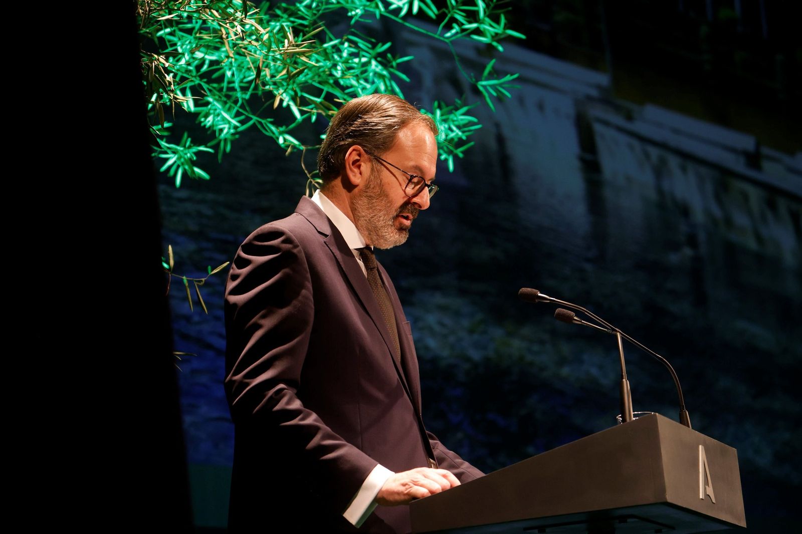 La entrega de las Banderas de Andalucía por el 28F en Córdoba, en imágenes