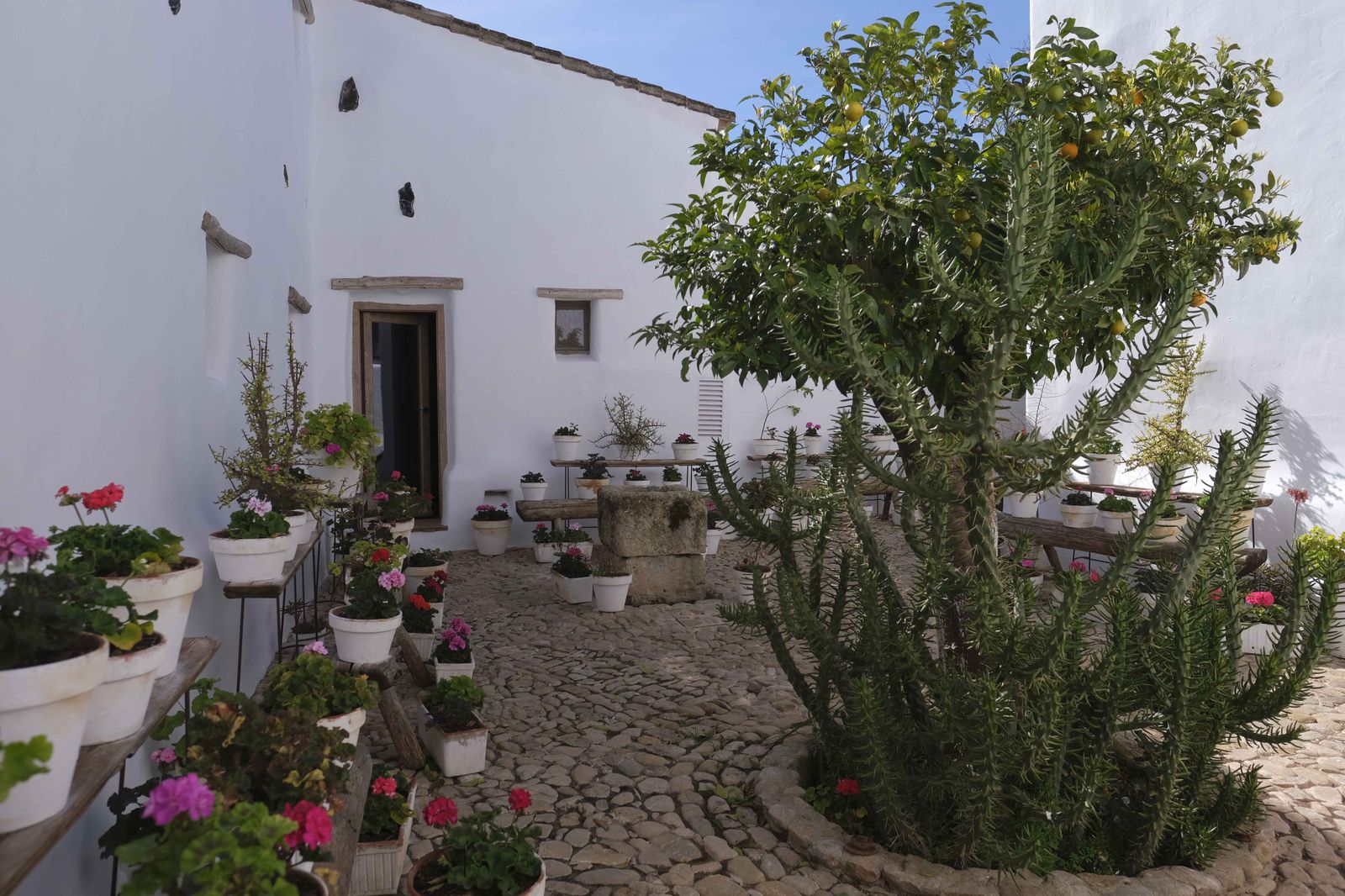 La Donaira, en fotos