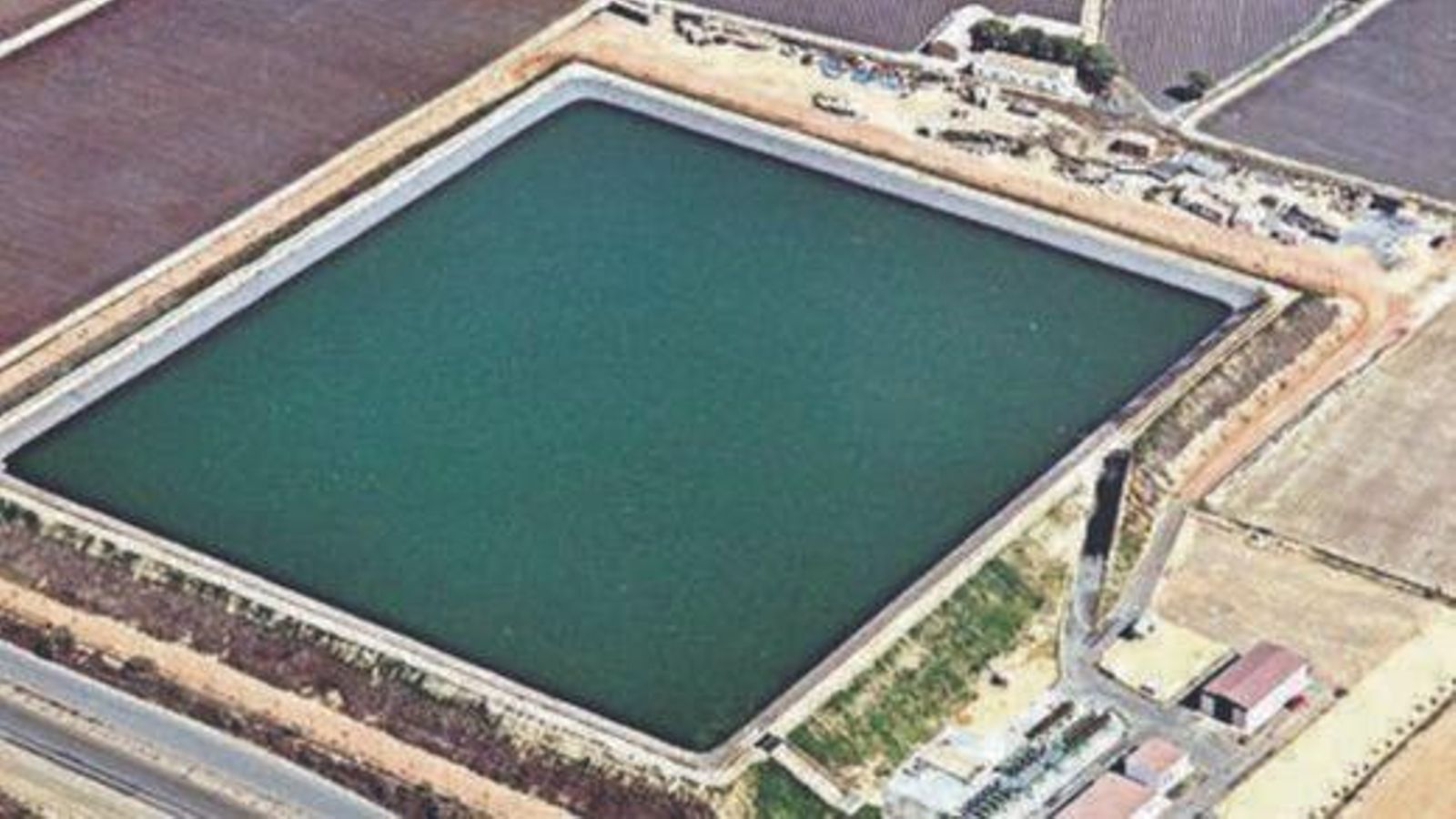 Otro de los grandes logros de la Comunidad de Regantes Palos de la Frontera es la colaboración con la Diputación Provincial de Huelva para la creación de una pantalla vegetal kilométrica