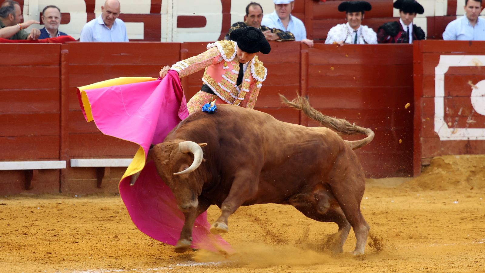 Tercera tarde de toros y última de la Feria de Jerez con Morante, Juan Ortega y Roca Rey
