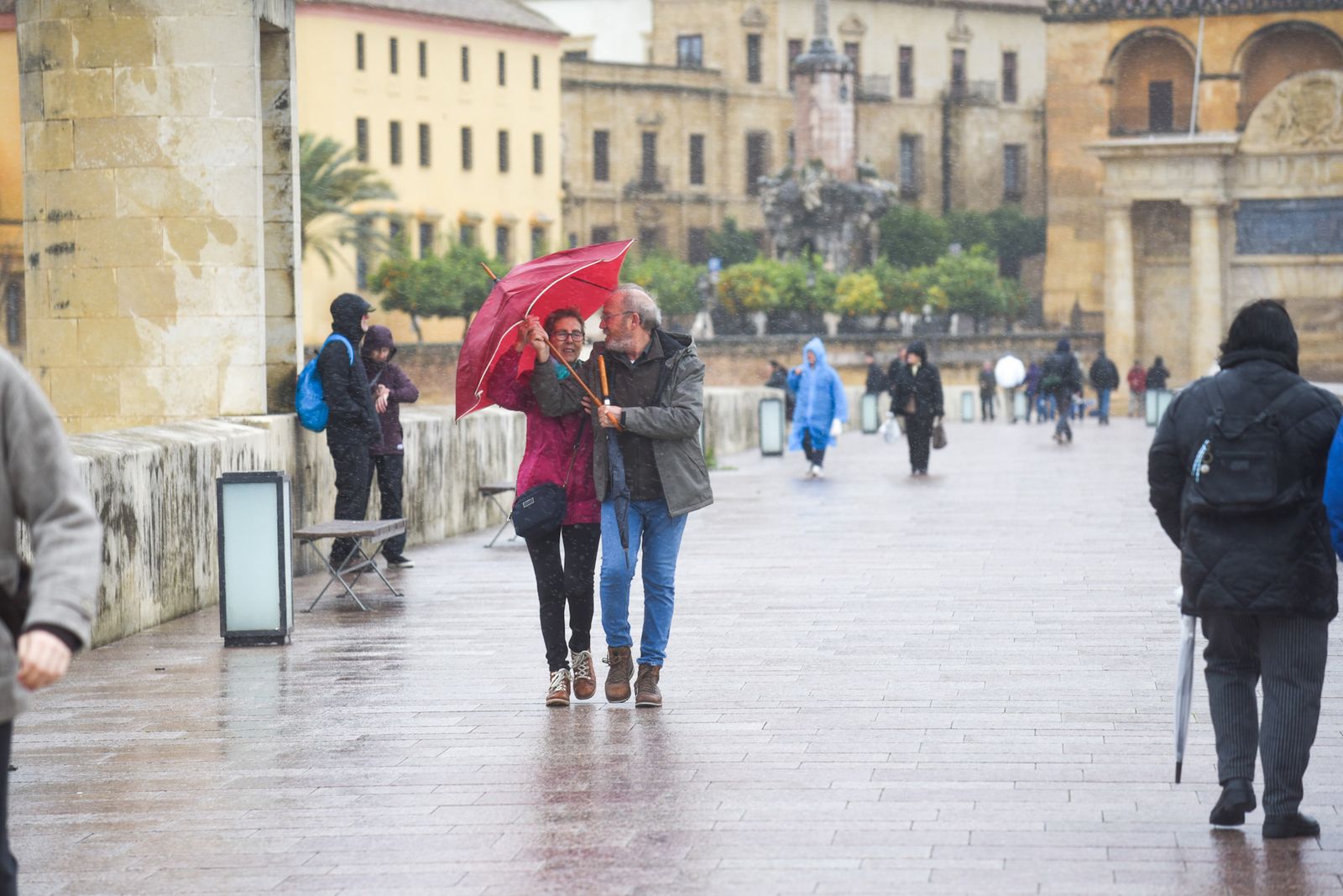 Las fuertes rachas de viento y la lluvia dejan las calles de Córdoba vacías