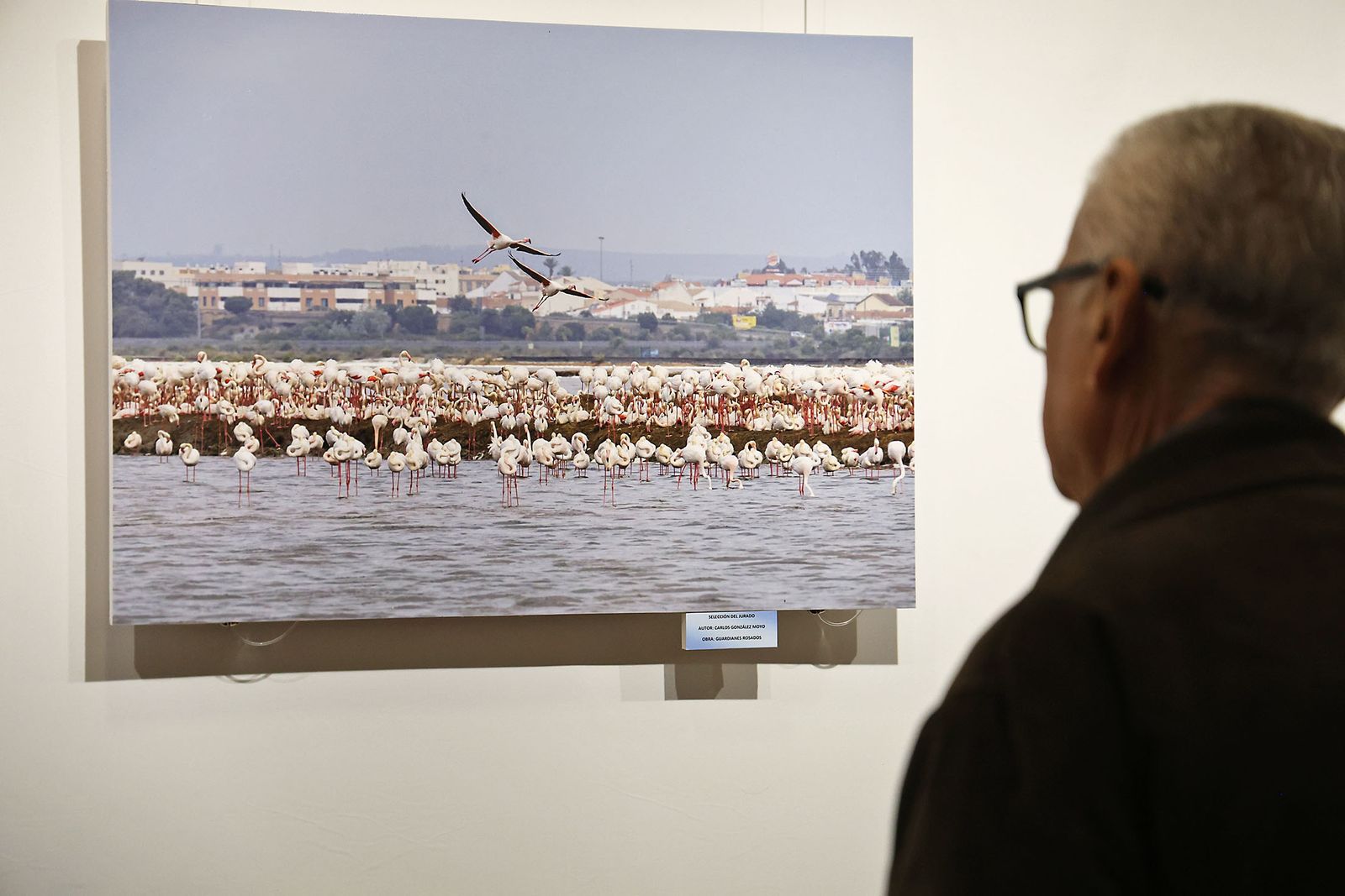 Exposición del Concurso de Fotografía 'Alas del Odiel'