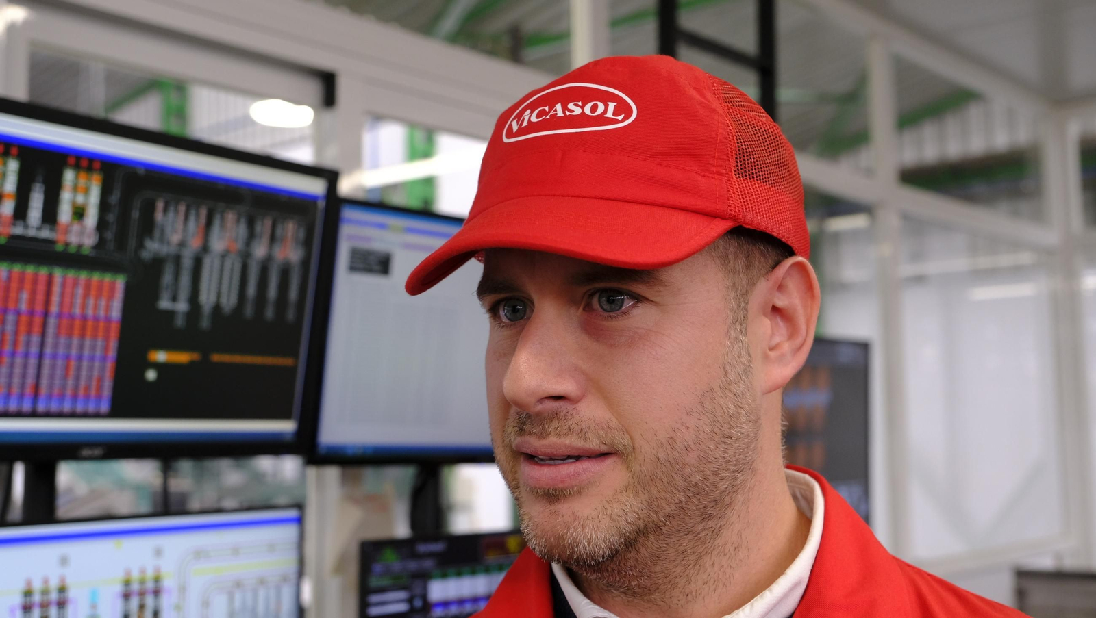 Tomates del campo almeriense para los lineales de los supermercados, en imágenes