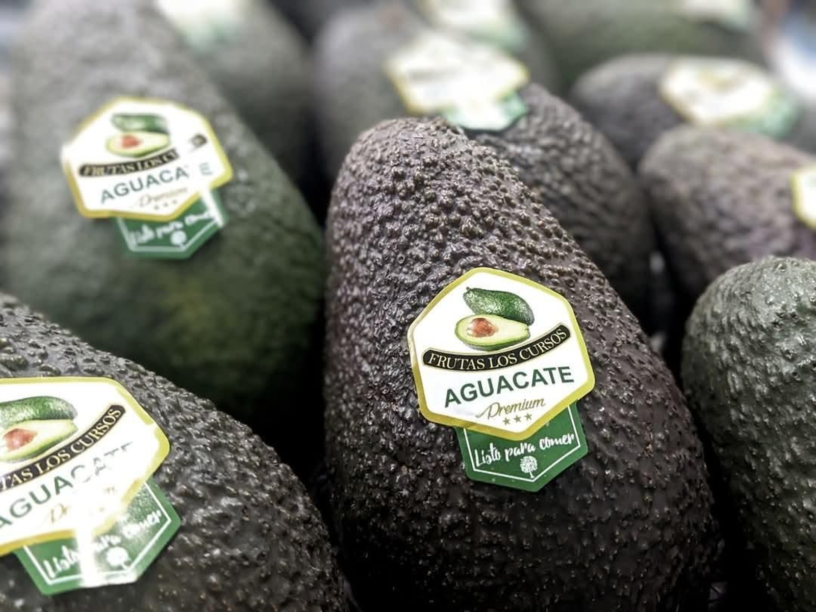 Aguacates de Frutas Los Cursos de Almuñécar Aguacates de Frutas Los Cursos de Almuñécar
