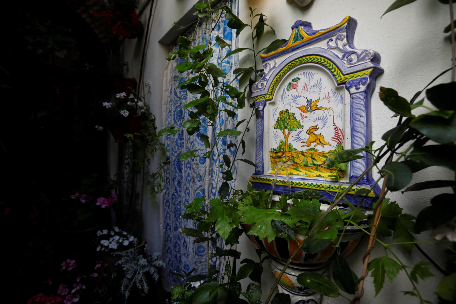 Los patios de Córdoba de la ruta Judería-San Francisco, en imágenes
