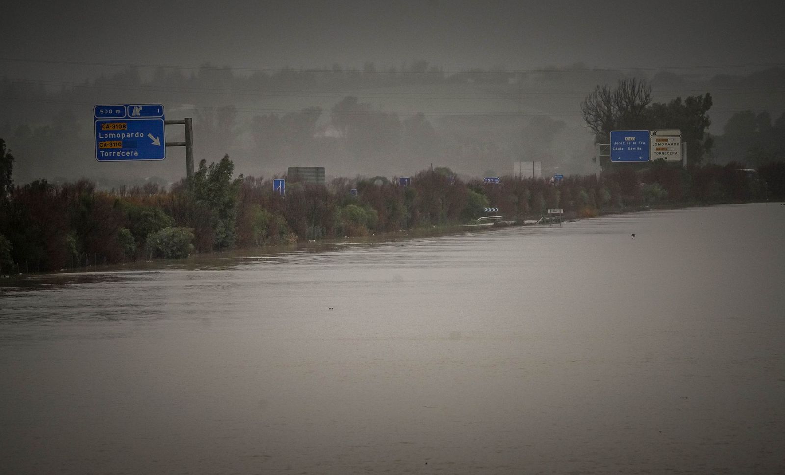 Imágenes de las graves consecuencias de la crecida del rio Guadalete en la zona rural de Jerez