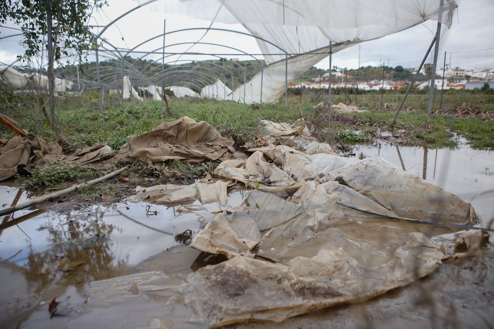 Fotos de las consecuencias de la borrasca Francis en Tesorillo y Jimena