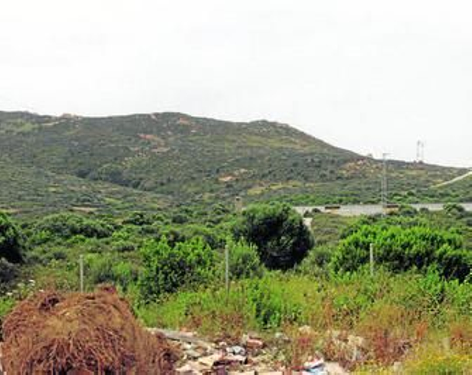 Imagen de la Sierra Carbonera, tomada ayer.
