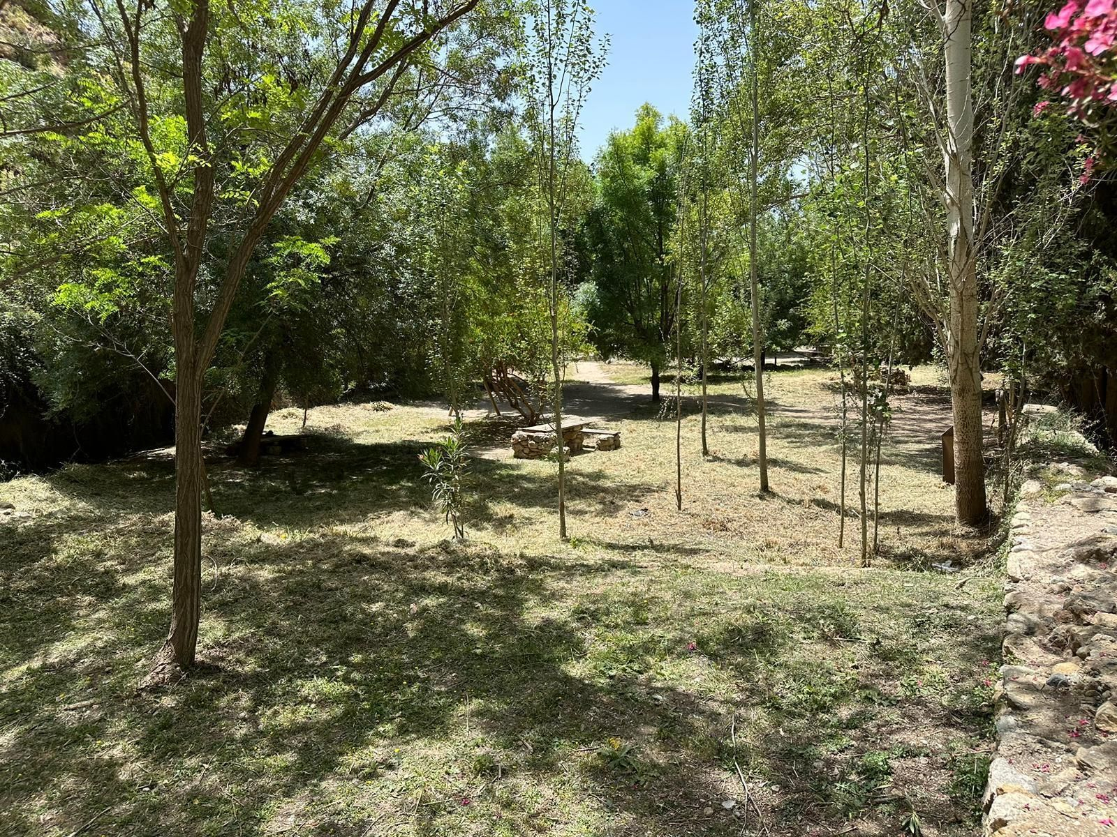 Así luce el entorno del Arroyo de Celín tras los trabajos de limpieza.
