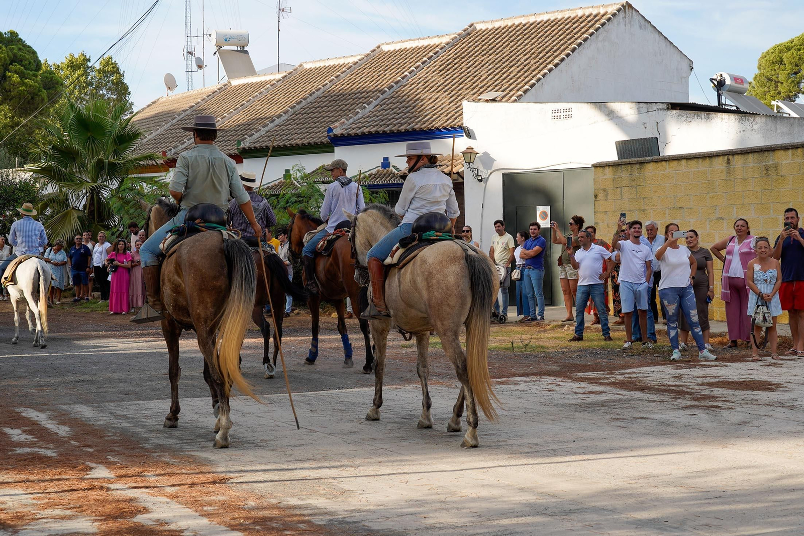 Las imágenes más destacas de la recogida de las yeguas en Hinojos