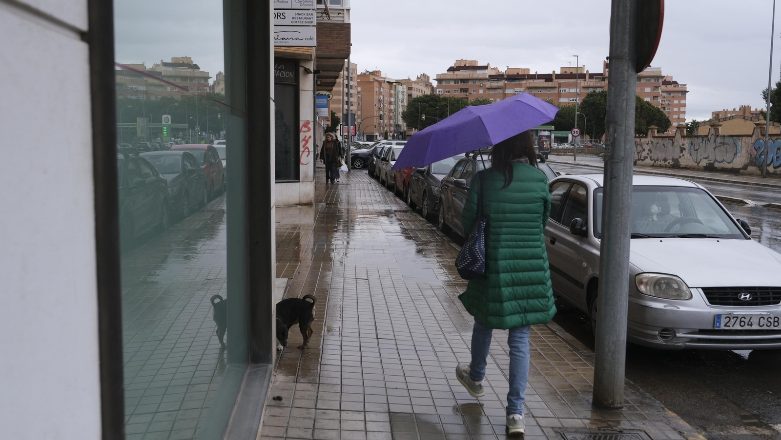 Sábado de lluvia en Almería capital, en imágenes