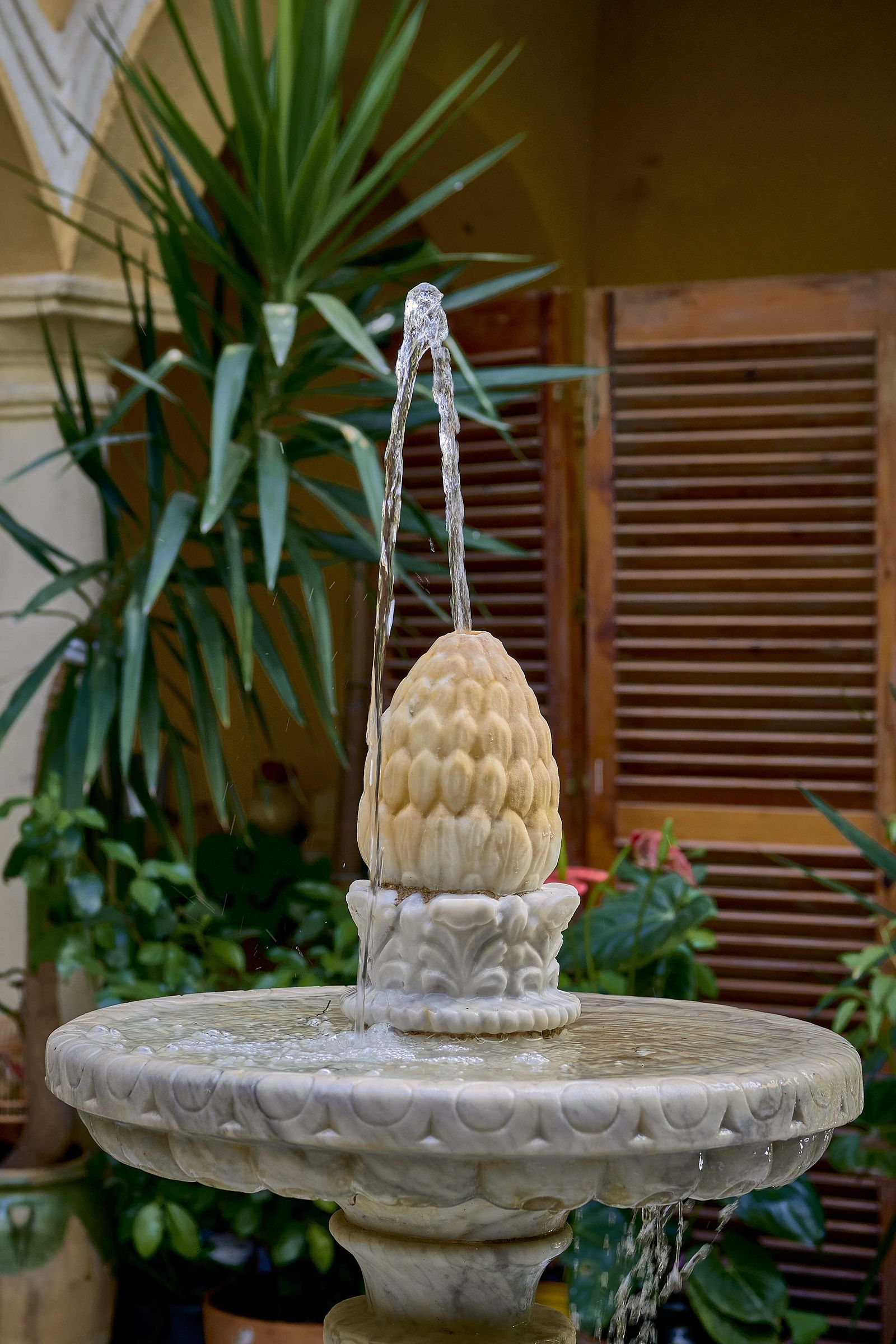 Interior de la finca en Antonio López 7.