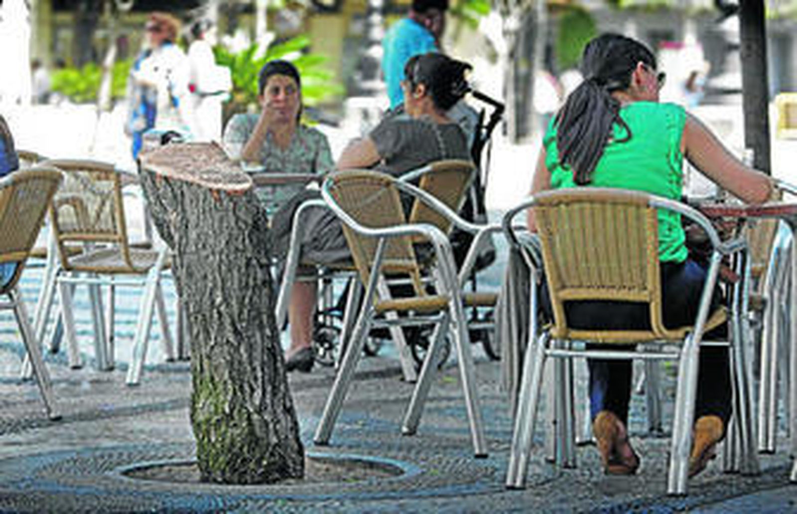 En la imagen el tocón que quedó tras la tala del árbol que cayó a la terraza de la cafetería.