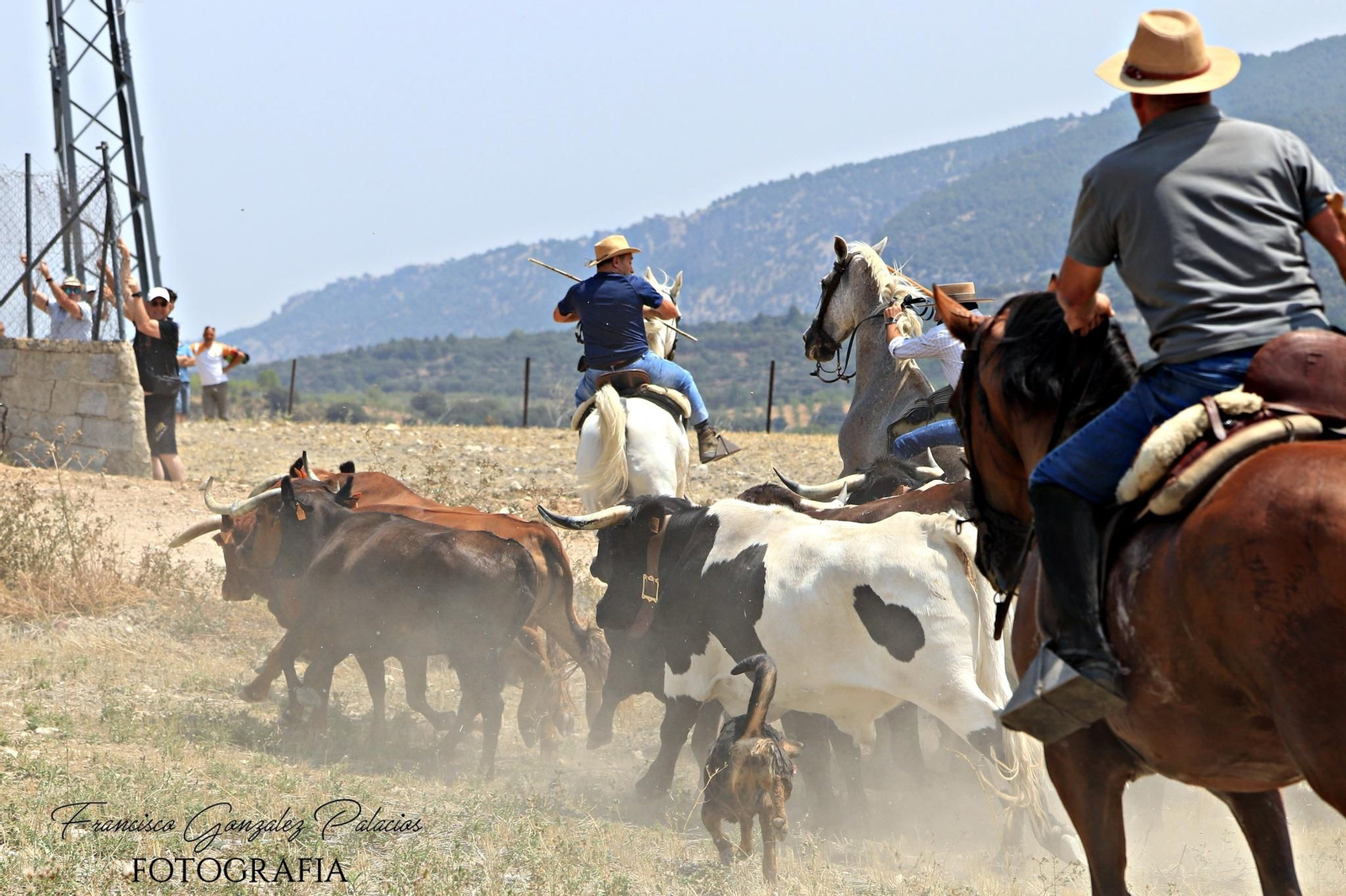 Saltos y fintas de vértigo en los encierros de Santiago de la Espada, en imágenes