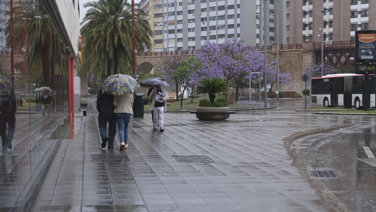 Los almerienses expresan su alegría por la lluvia