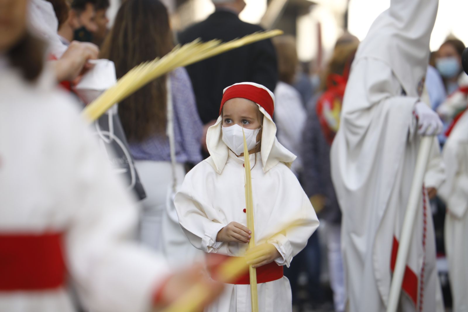 La procesión de la Entrada Triunfal del Domingo de Ramos en Córdoba, en imágenes