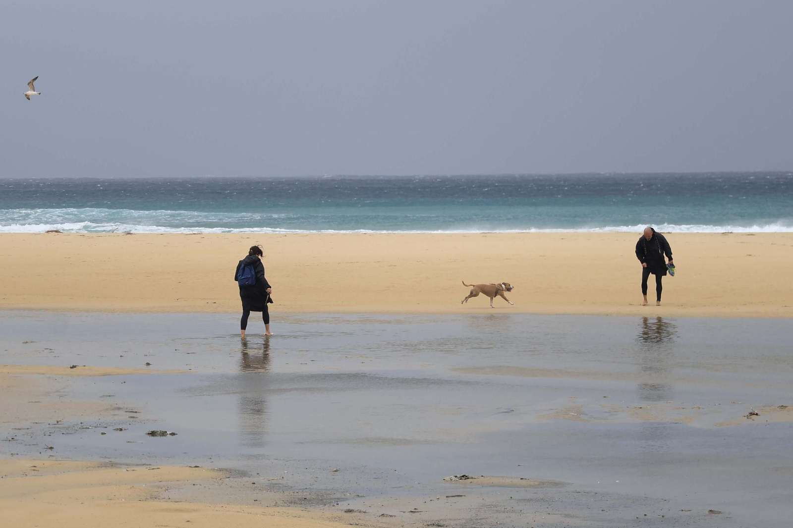 Las fotos de los efectos de la borrasca Emilia en el Campo de Gibraltar