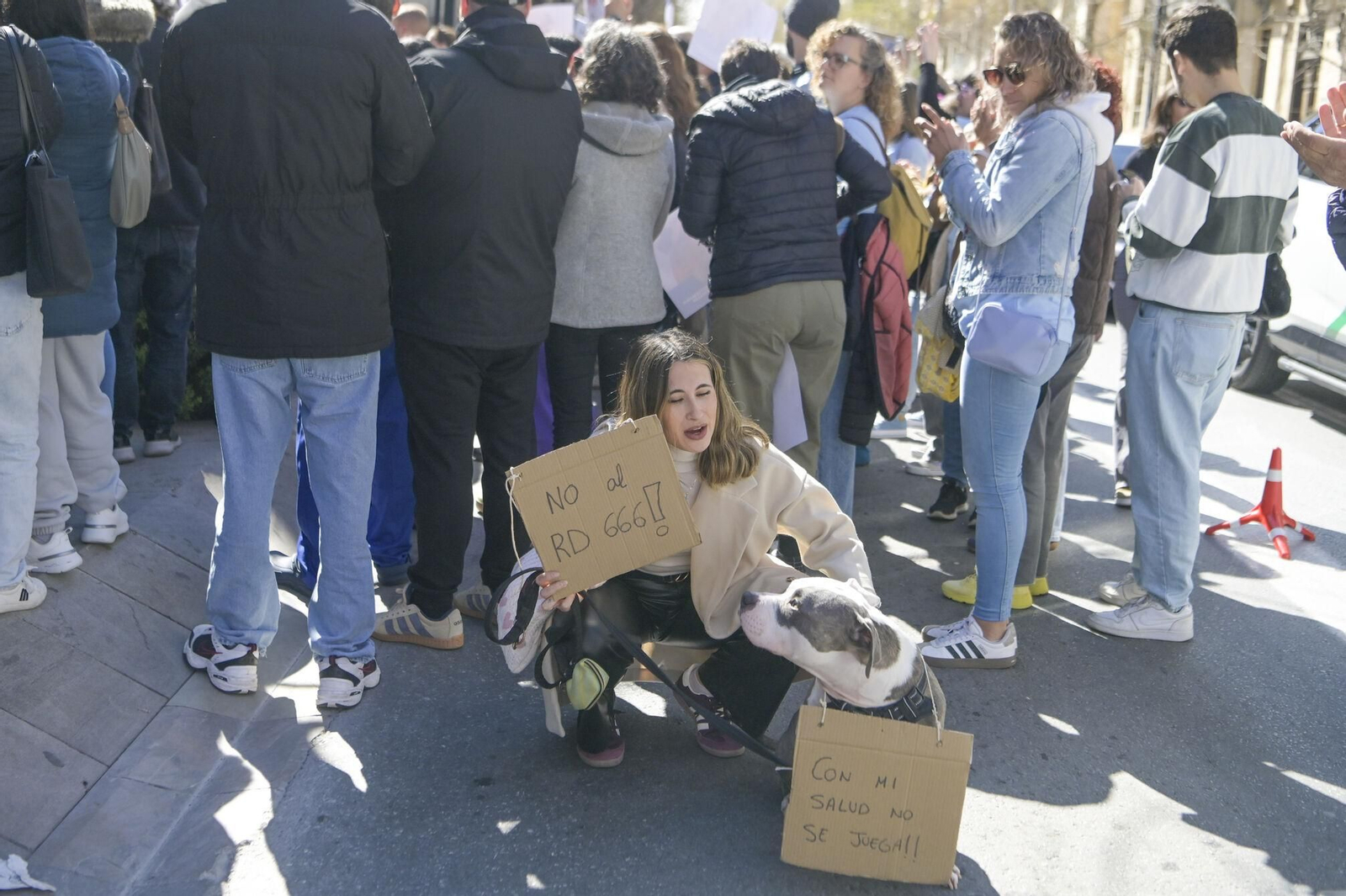 Las mejores imágenes de la manifestación de 300 veterinarios en Granada