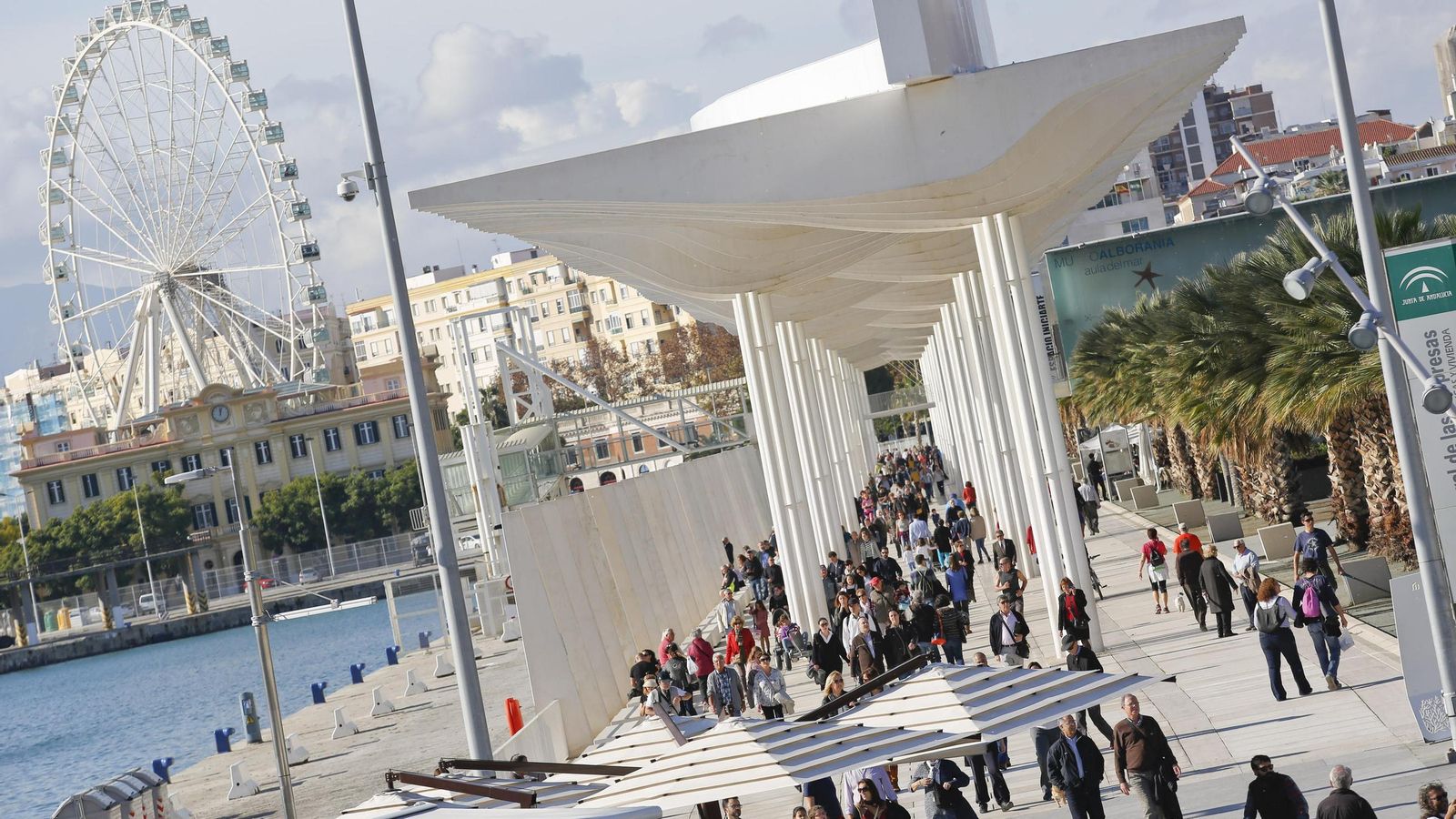El Palmeral de las Sorpresas de Málaga. El Palmeral de las Sorpresas de Málaga.