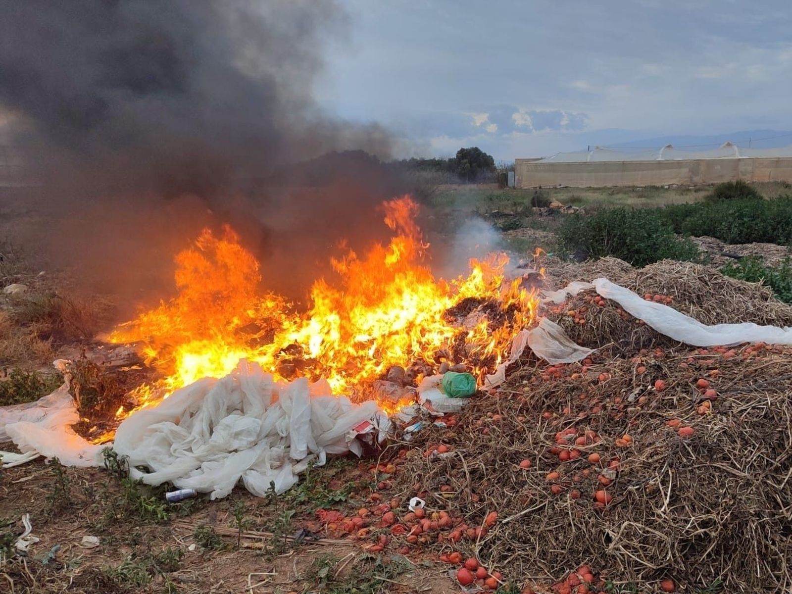 Una de las quemas no autorizadas identificadas en el dispositivo de Medio Ambiente, Seprona y Policía Autonómica por San Antón en Cabo de Gata.