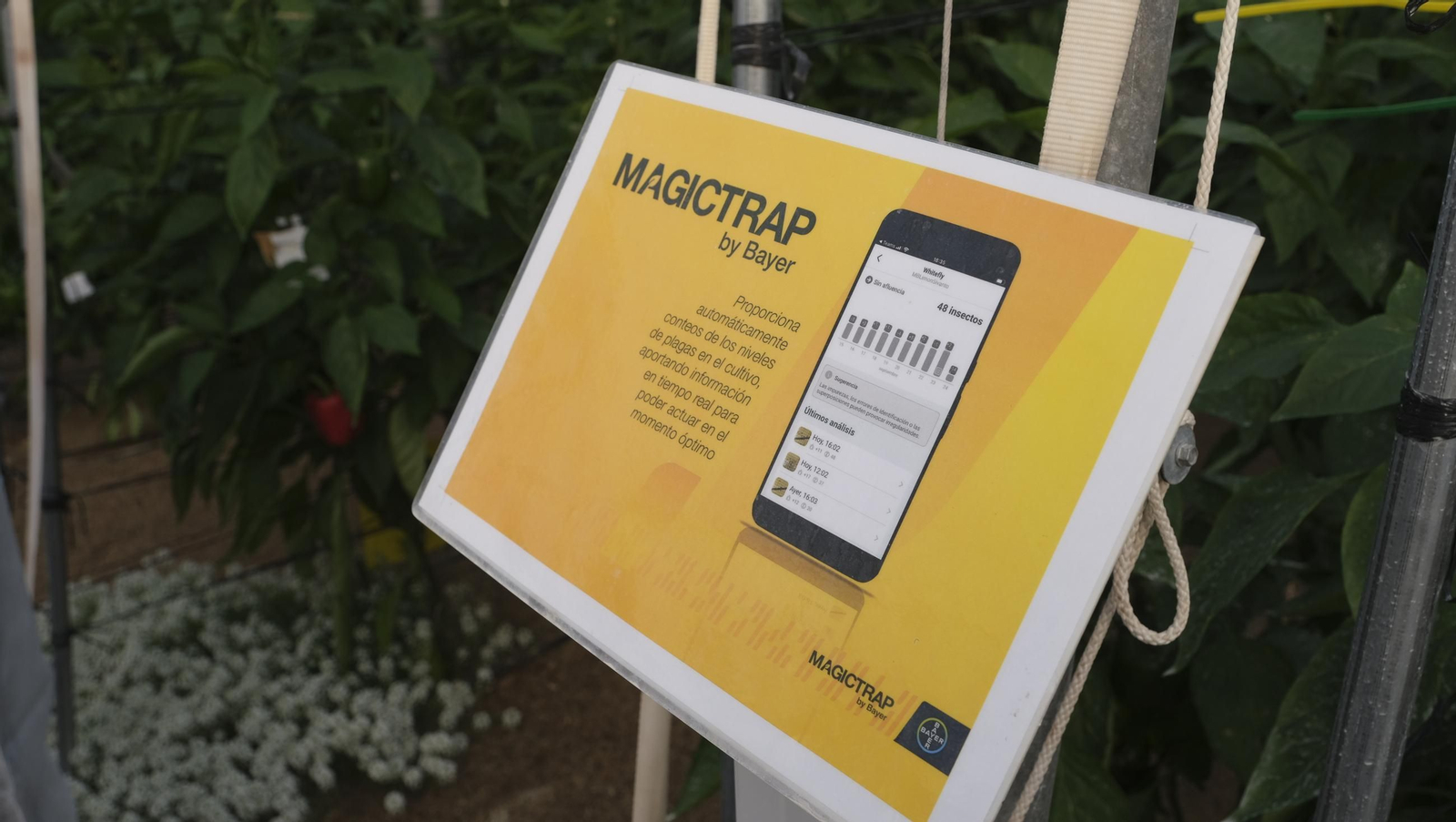 Jornada de puertas abiertas en la Estación Experimental Cajamar Las Palmerillas, en fotos