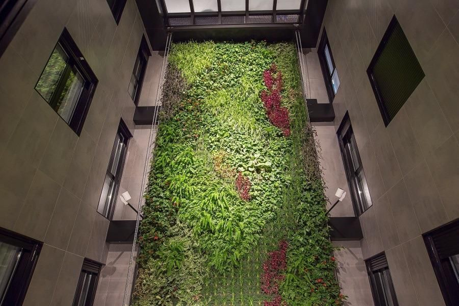 Vista del jardín vertical del hotel Brö, un establecimiento sólo para adultos en Málaga capital. Vista del jardín vertical del hotel Brö, un establecimiento sólo para adultos en Málaga capital.