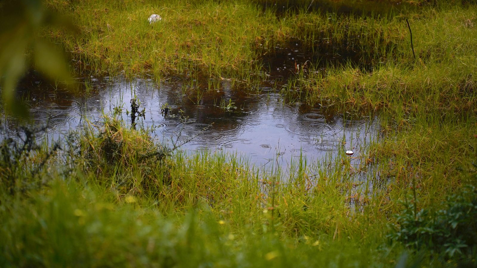 Llueve sobre mojado: Fotos de la borrasca Martinho a su paso por Algeciras