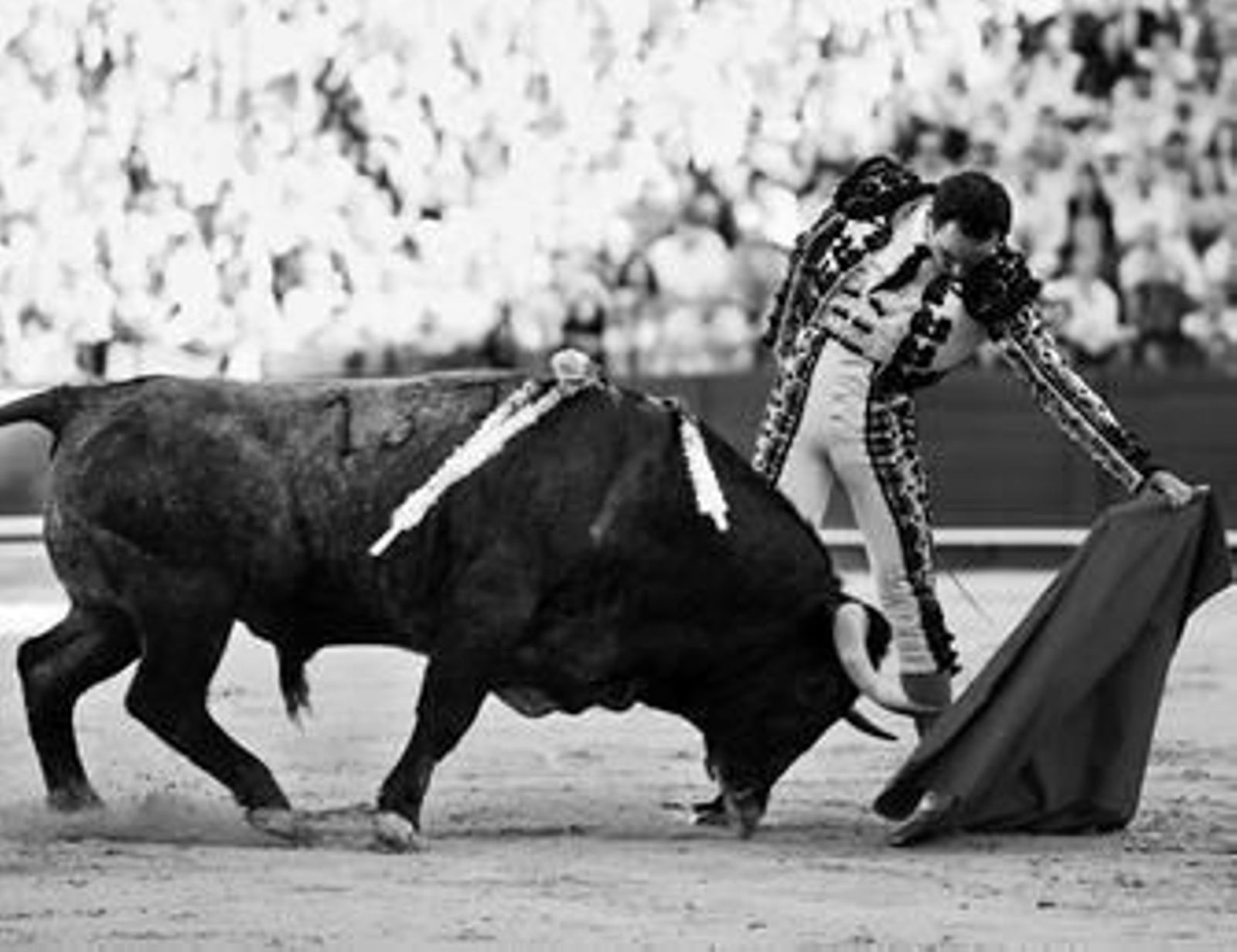 El Cid lidia al tercer toro de Victorino Martín, ganadería triunfadora en la pasada Feria de Abril.